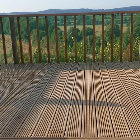 The Lookout *